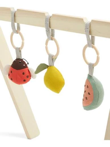 Babyplay Leaf Playmat & Gym (2 Piece Bundle) - Image 7