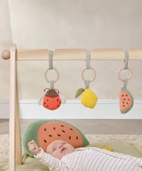 Babyplay Leaf Playmat & Gym (2 Piece Bundle) - Image 8